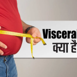 Visceral fat