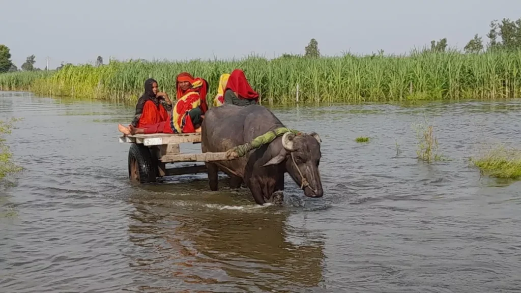 गंगा का जलस्तर बढ़ने से हड़कंप
