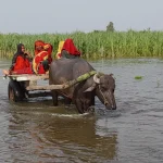 गंगा का जलस्तर बढ़ने से हड़कंप