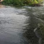 Kasganj Flood News: बाढ़ से बेहाल गांव, 25 दिनों से बिजली गुल; जहरीले जीवों के डर में रात गुजार रहे लोग