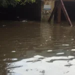 Old Faridabad अंडरपास में भरे पानी ने ली जान पर आफत, फॉर्च्यूनर डूबने से ड्राइवर वेंटिलेटर पर