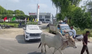 5 महीने बाद भी नहीं बनी RC, मालिक ने नई इनोवा कार को बना दिया बैलगाड़ी!