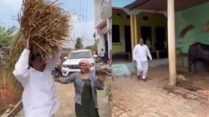 Amroha: ‘चुनाव आते ही ‘रील’ मोड में नेताजी’, सिर पर पराली रखकर महिला के घर पहुंचाया
