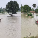 यूपी में बाढ़ की मार, बाराबंकी के 60 गांव प्रभावित; सरयू नदी ने दिखाया रौद्र रूप