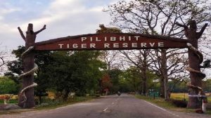 पीलीभीत में दिखेगा जंगल का नया रोमांच, लेपर्ड सफारी प्रोजेक्ट पर तेजी से काम शुरू पीलीभीत में दिखेगा जंगल का नया रोमांच, लेपर्ड सफारी प्रोजेक्ट पर तेजी से काम शुरू