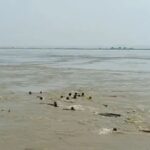 राघोपुर नाव हादसे में कई घरों के चिराग बुझे, NMCH में भर्ती दो बच्चों की हालत गंभीर